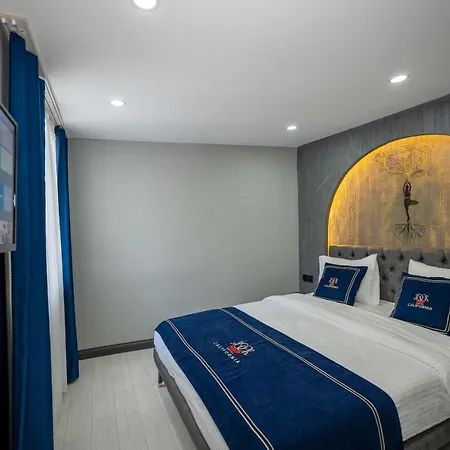 加州酒店 酒店 3*